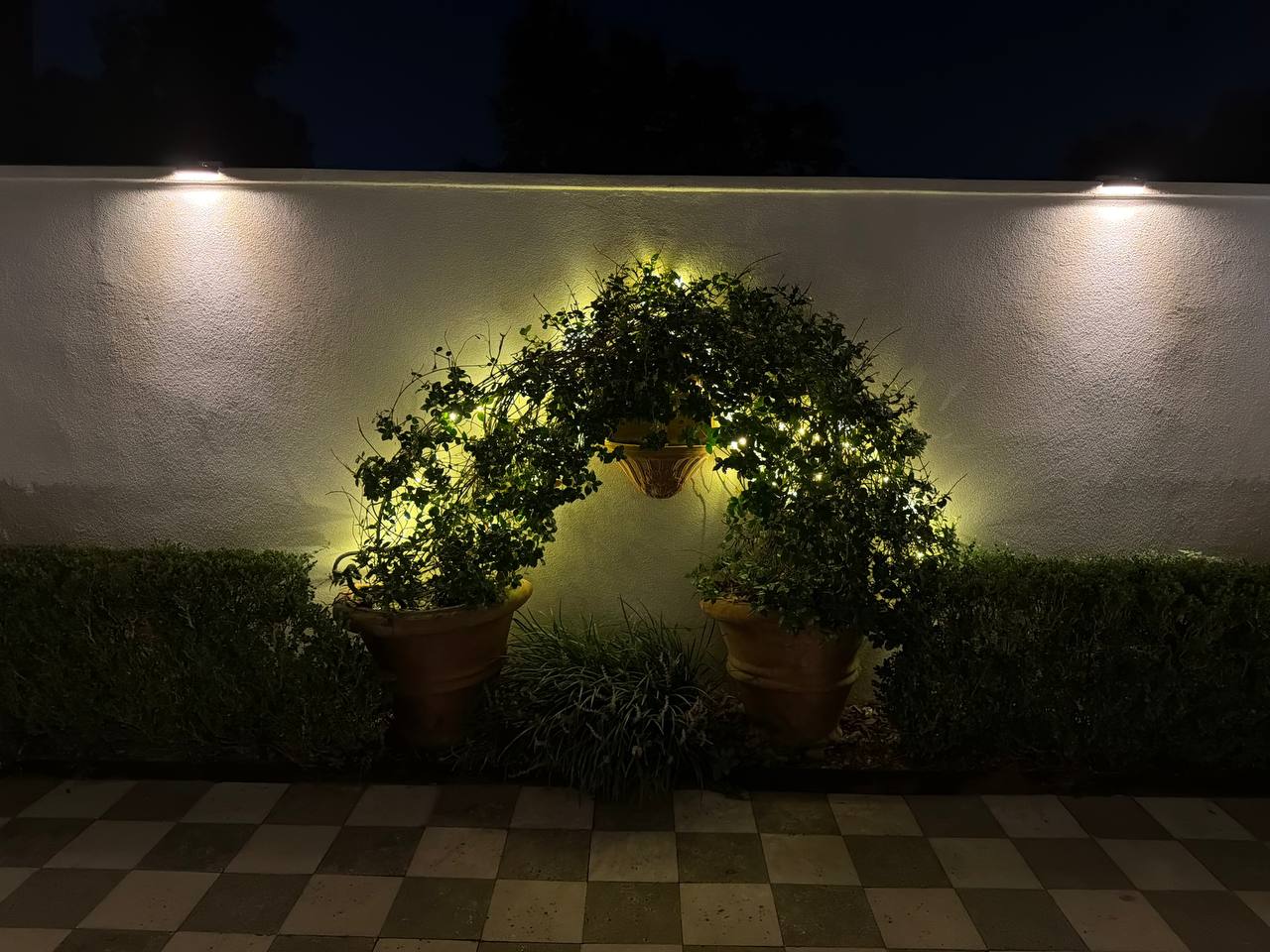 Close view of two potted vines trained into a circular arch against a stucco wall, backlit with woven string lights, above a checkerboard tile floor