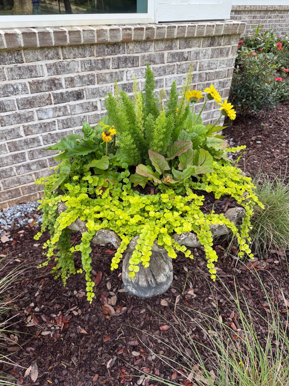 Seasonal color and planter detail 16 at a residential entry landscape